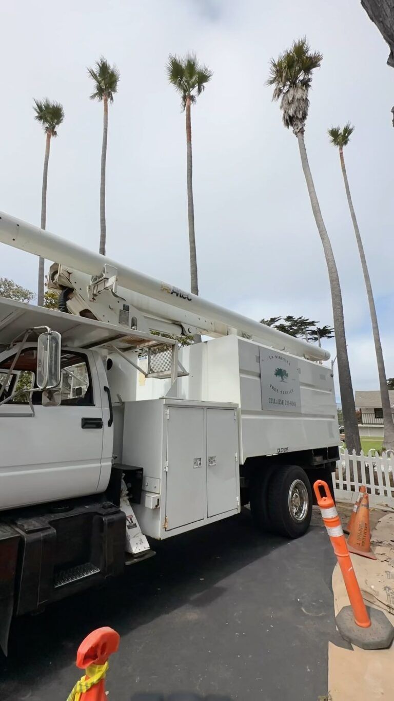 White utility truck with boom extended, palm trees in background.
