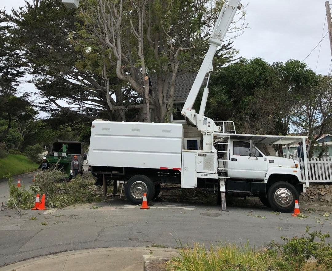 Tree trimming truck with arm extended cutting branches near a house; orange cones mark the work zone.