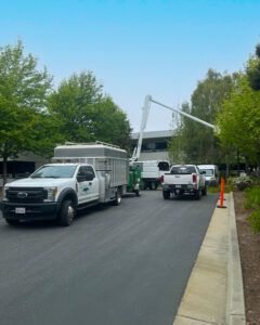 Several work trucks with an extended lift truck, parked near a building and trees, likely for tree trimming.