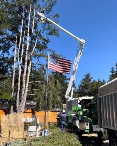 Tree removal with a lift truck, American flag in the foreground, sunny day.