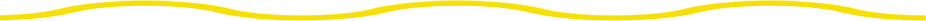 Thin yellow line with a few small bumps across the top edge on a white background