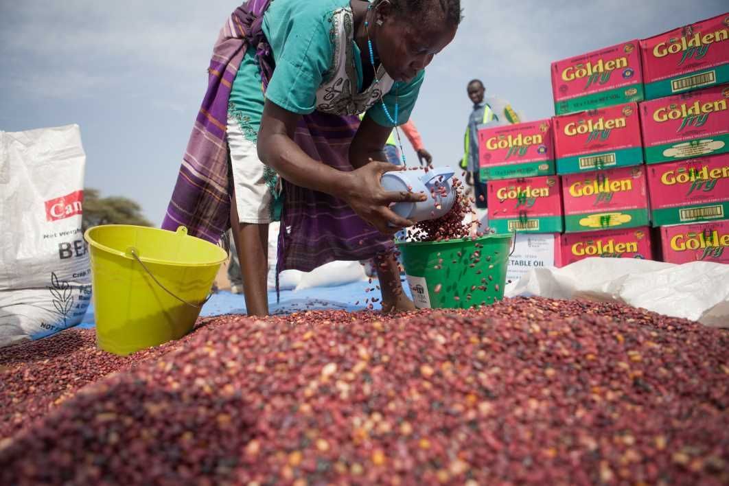 Woman sorting red grains beside stacked yellow-green boxes outdoors