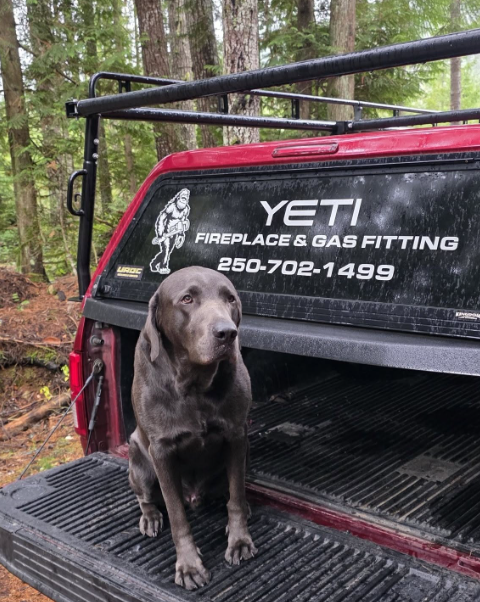 Smokey, the YETI mascot dog