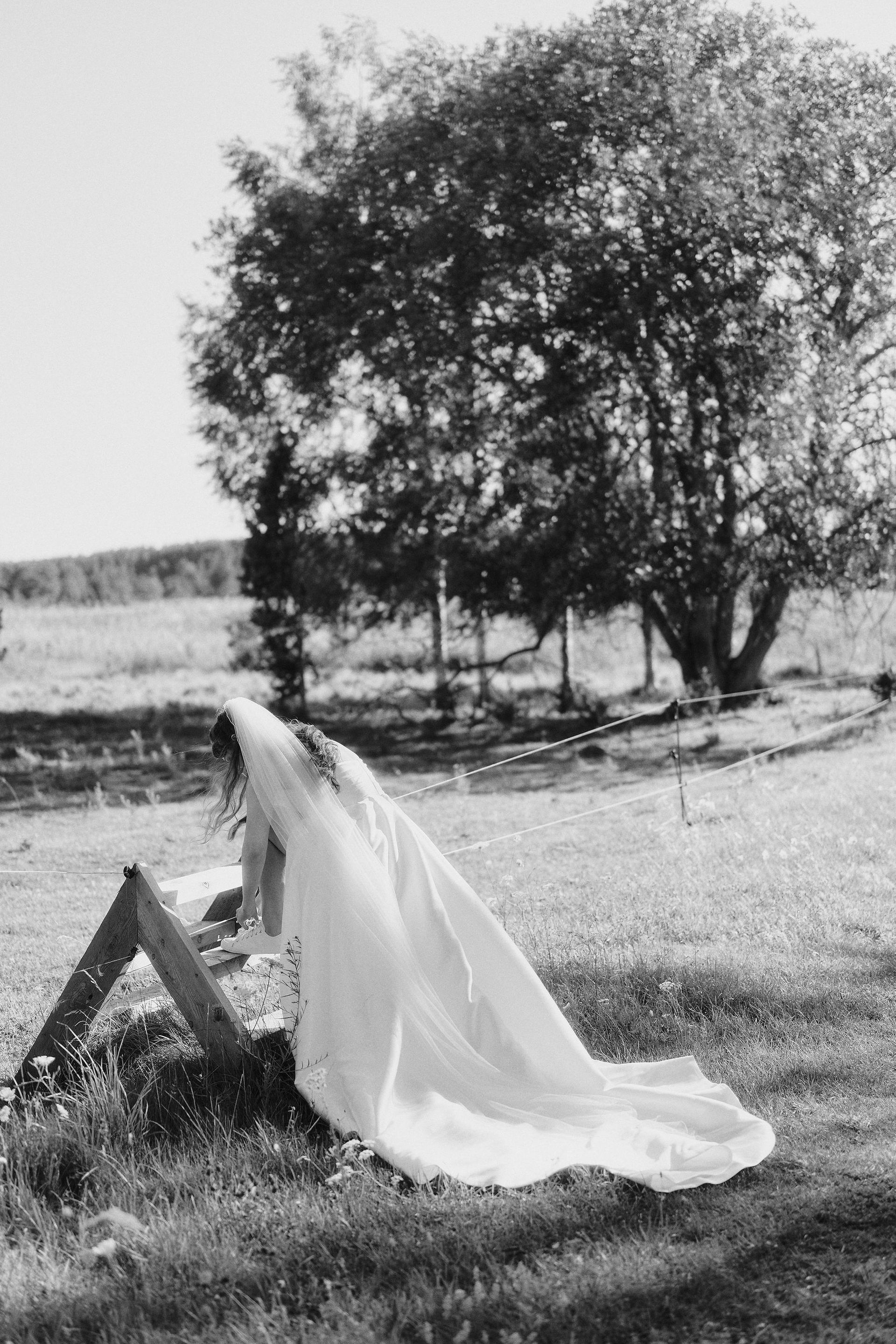 Wedding veil draped over a wooden structure in a field, tree in the background. Black and white.