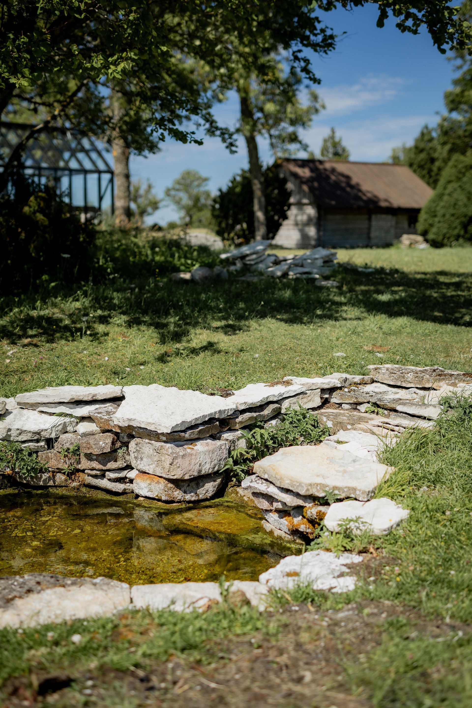 Small stone-lined pond with water, green grass, and blurred buildings and trees in the background under a blue sky.