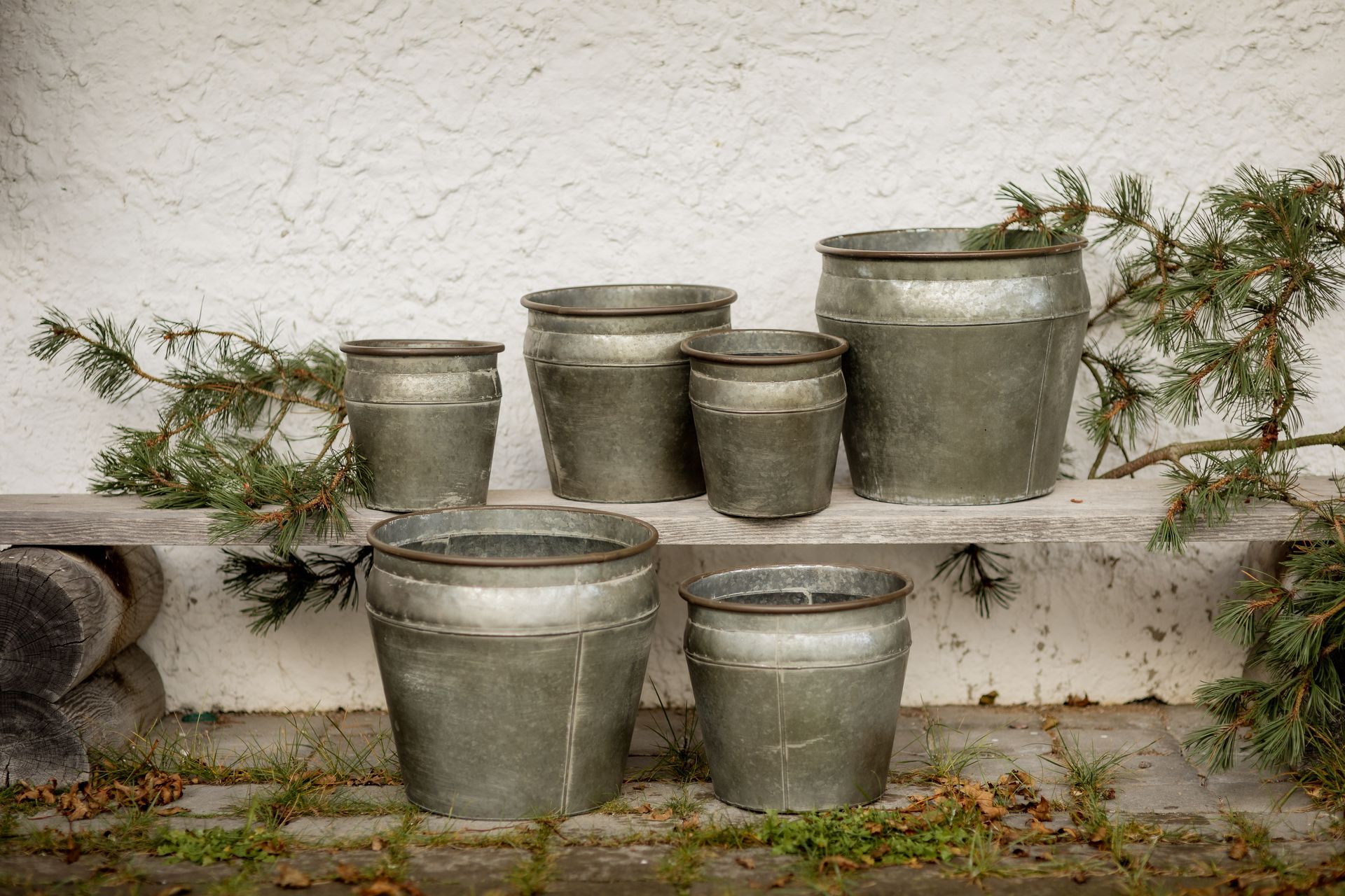Six weathered metal buckets, varying sizes, on a wooden shelf in front of a textured white wall. Evergreen branches.