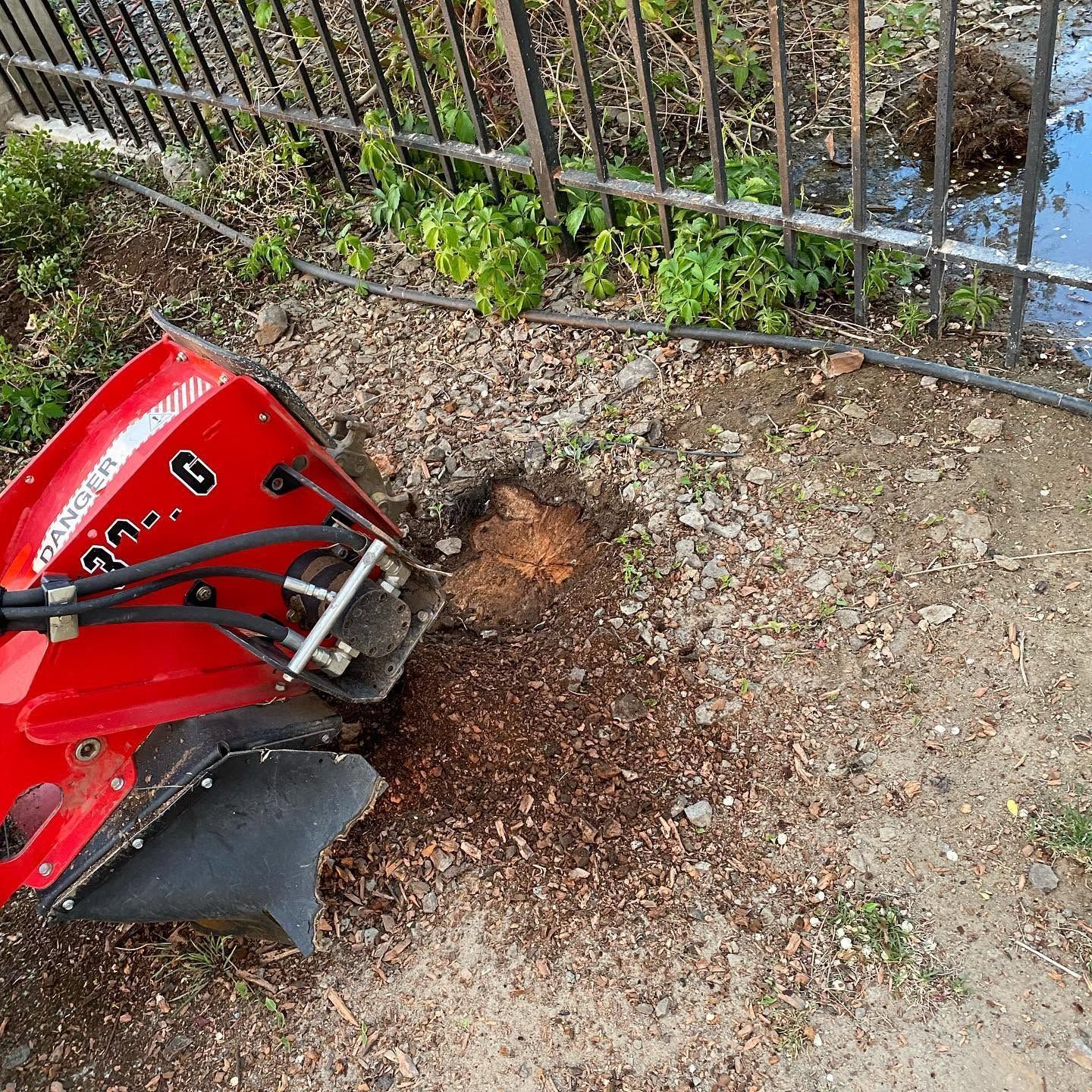 Red mini excavator digging into gravel beside a metal fence, with soil piled up nearby