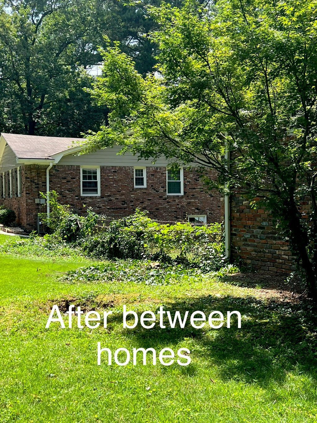 Brick house with green lawn, trees, and trimmed shrubbery between homes.