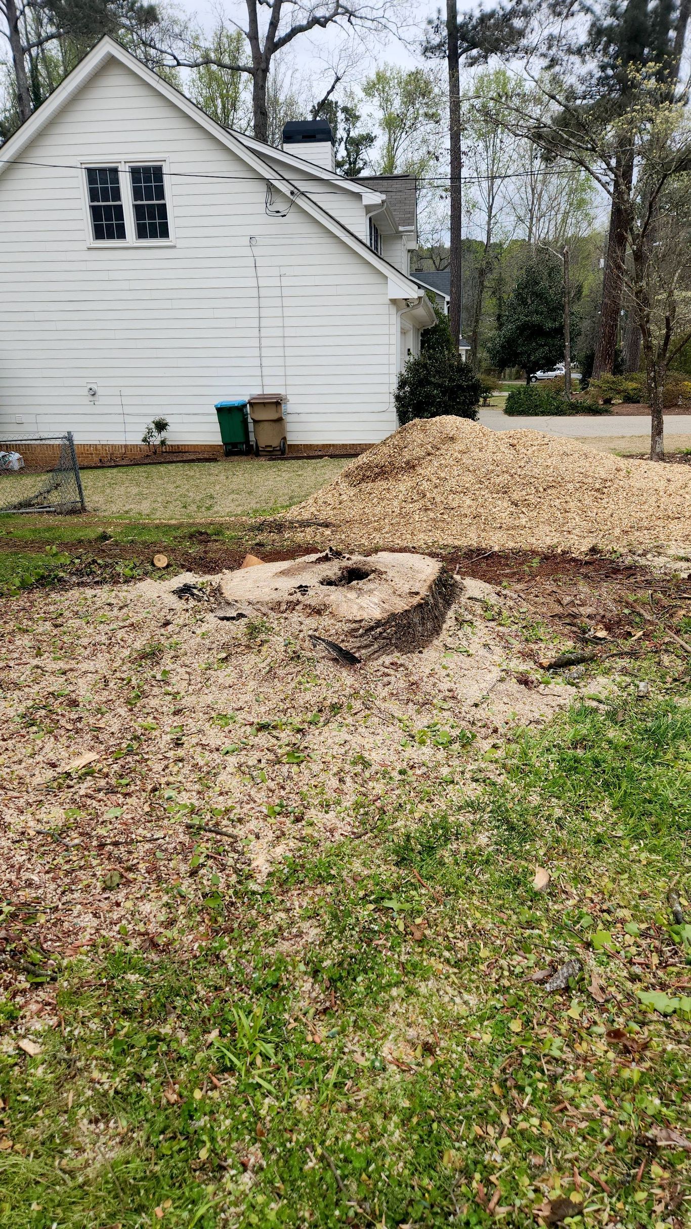 Tree stump with wood chips in a yard, white house in the background.