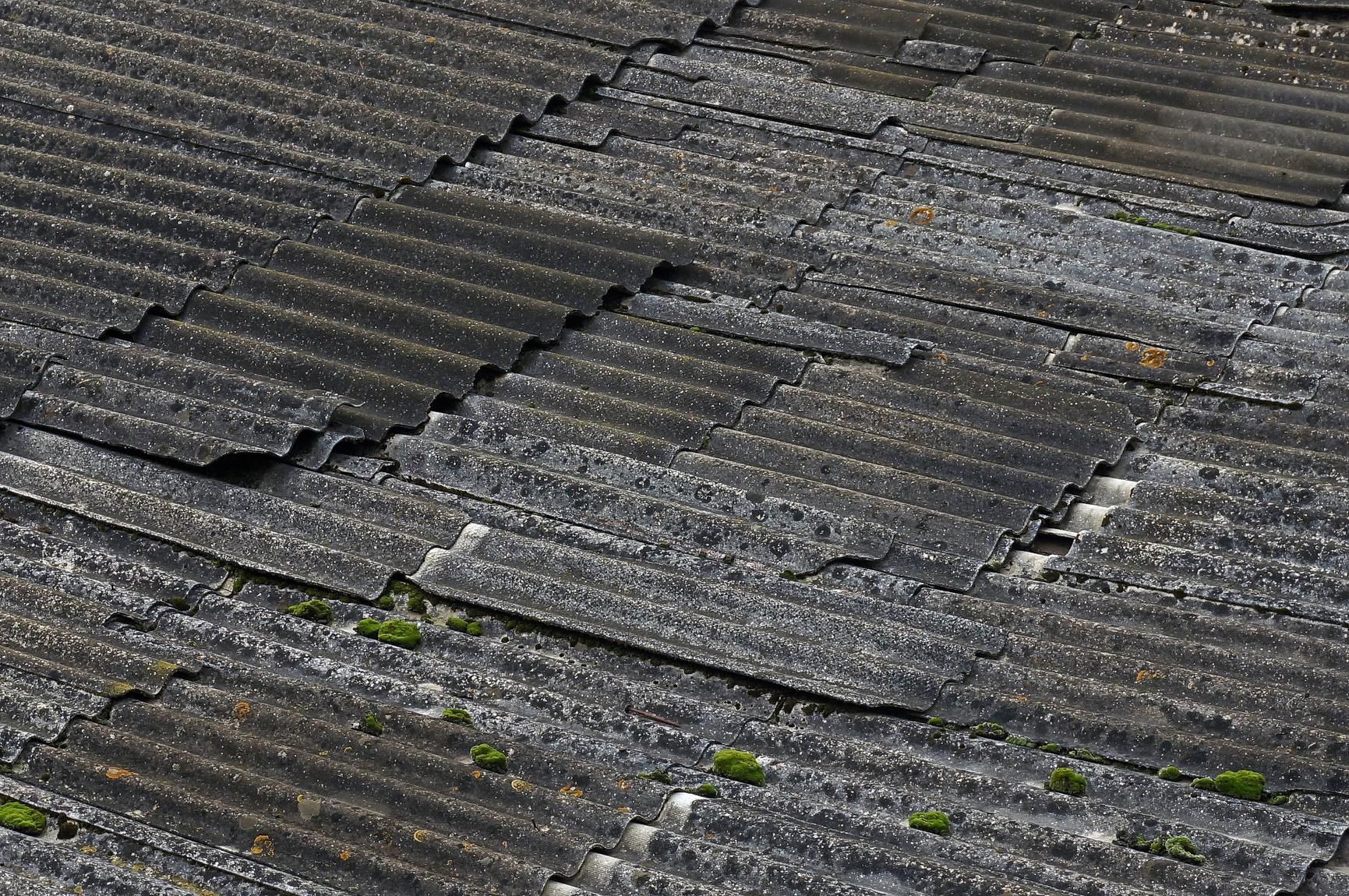 Asbestos Abatement Solutions