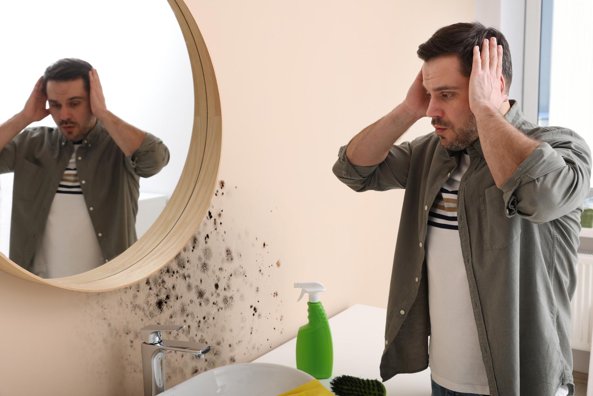 Mold Remediation