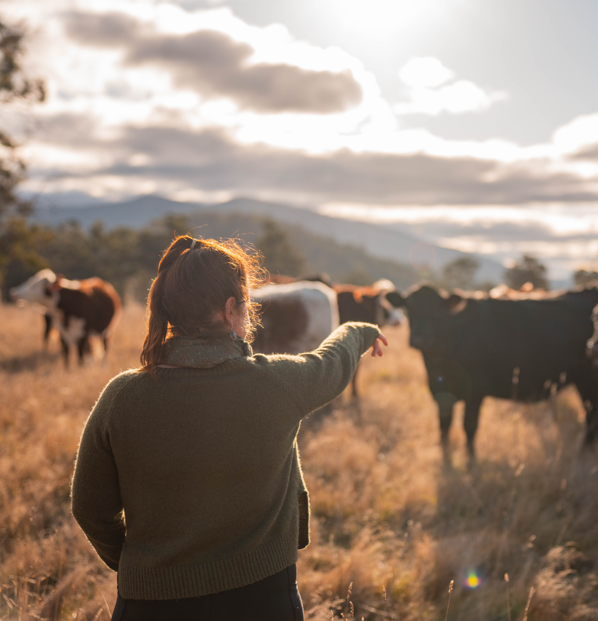 Farmstays