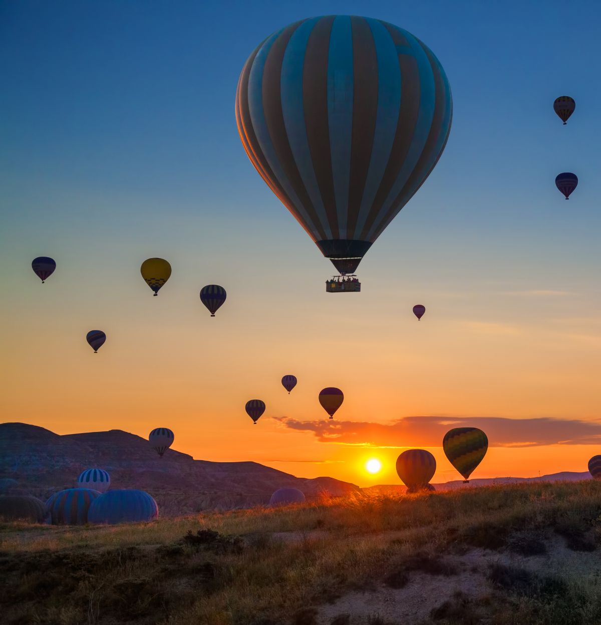 Trusted by Tourism Operators Across Australia & NZ - Tours & Tickets