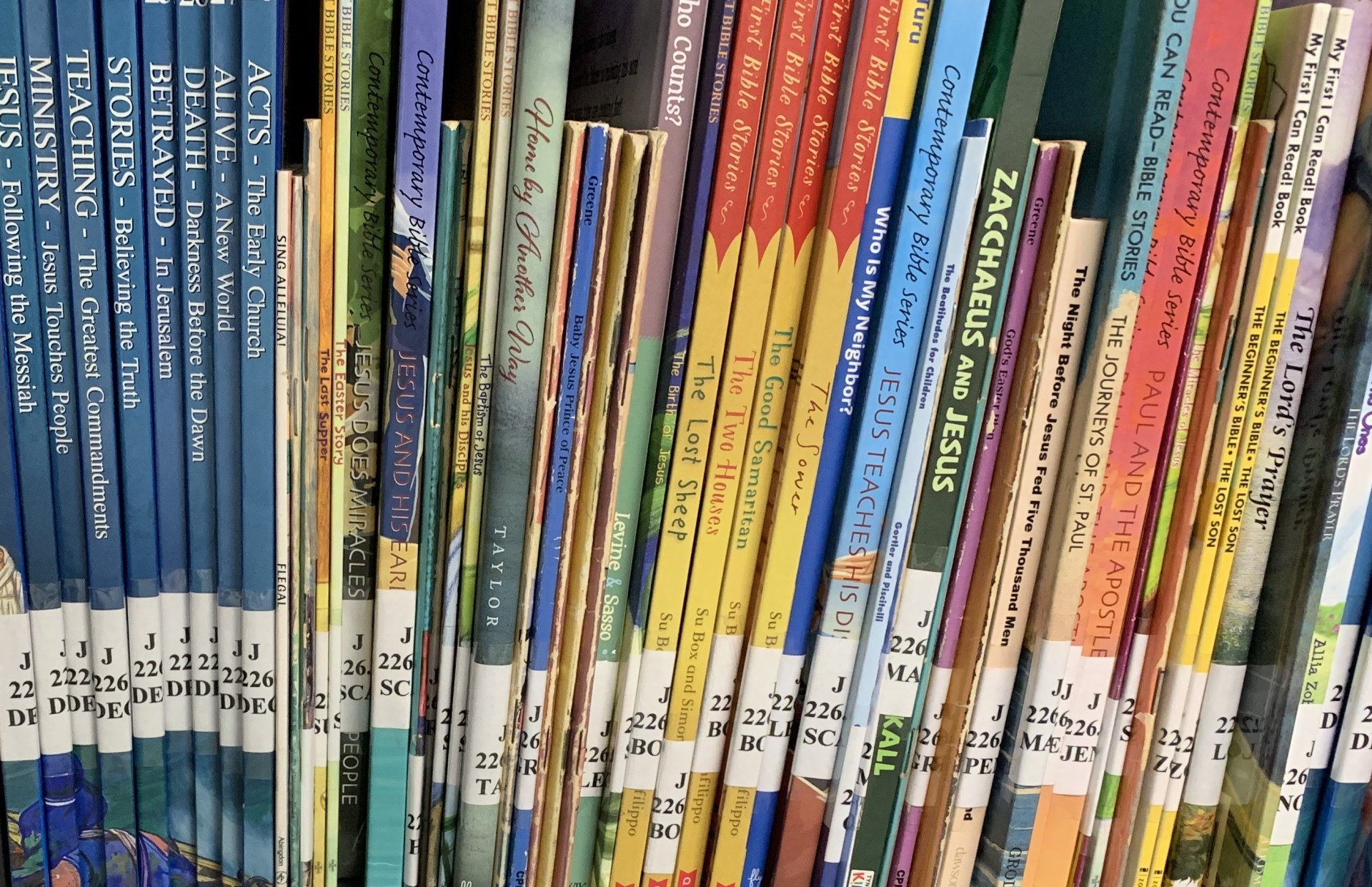 Books lined up on a shelf, various colors and titles.
