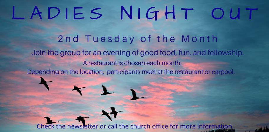 Flyer for Ladies Night Out, on the 2nd Tuesday of each month; sky background with birds.