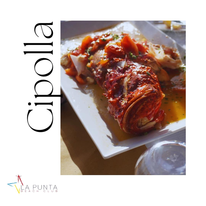 cipolla