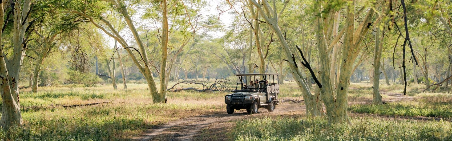 Travel to the Kalahari in Botswana