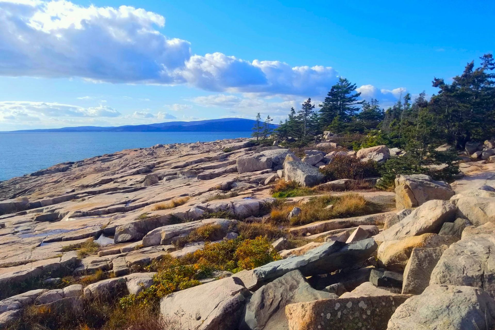 rocky coast