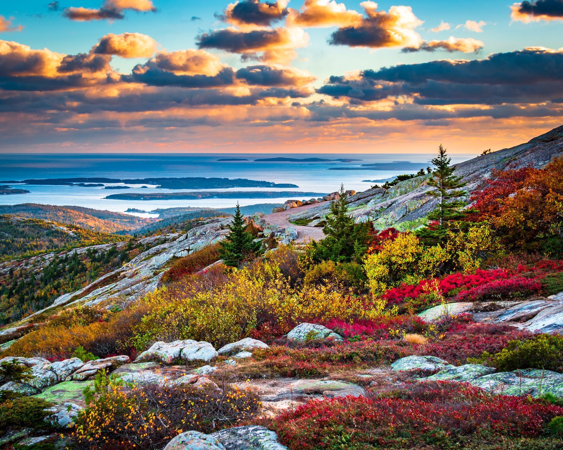 acadia area