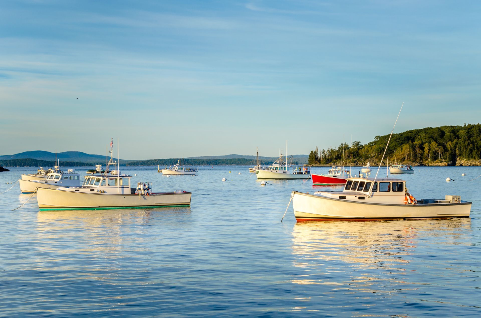 Boats bob in calm water under a clear blue sky near a treed shoreline.