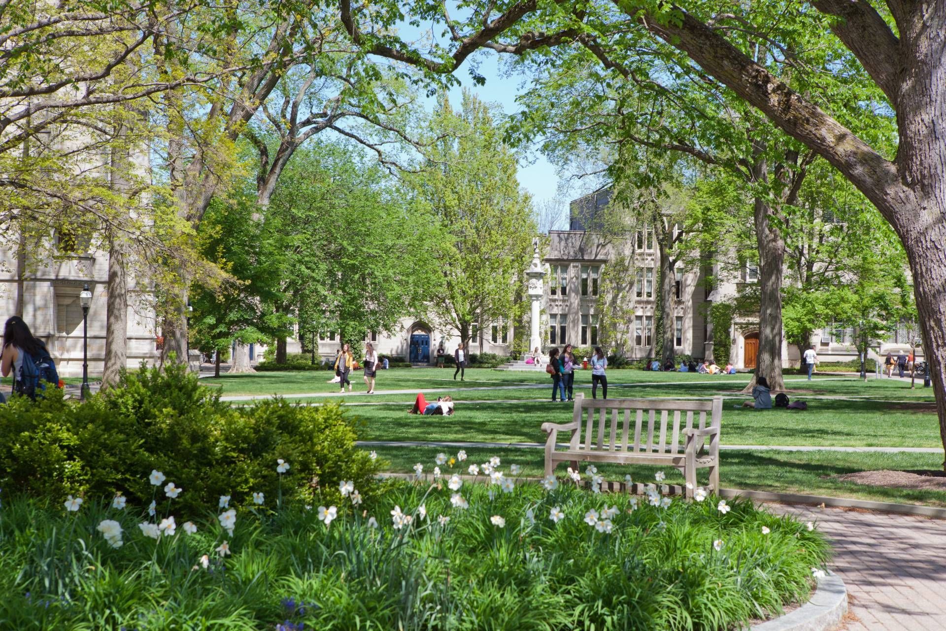 Princeton University in Mercery County. Princeton University in Mercery County.