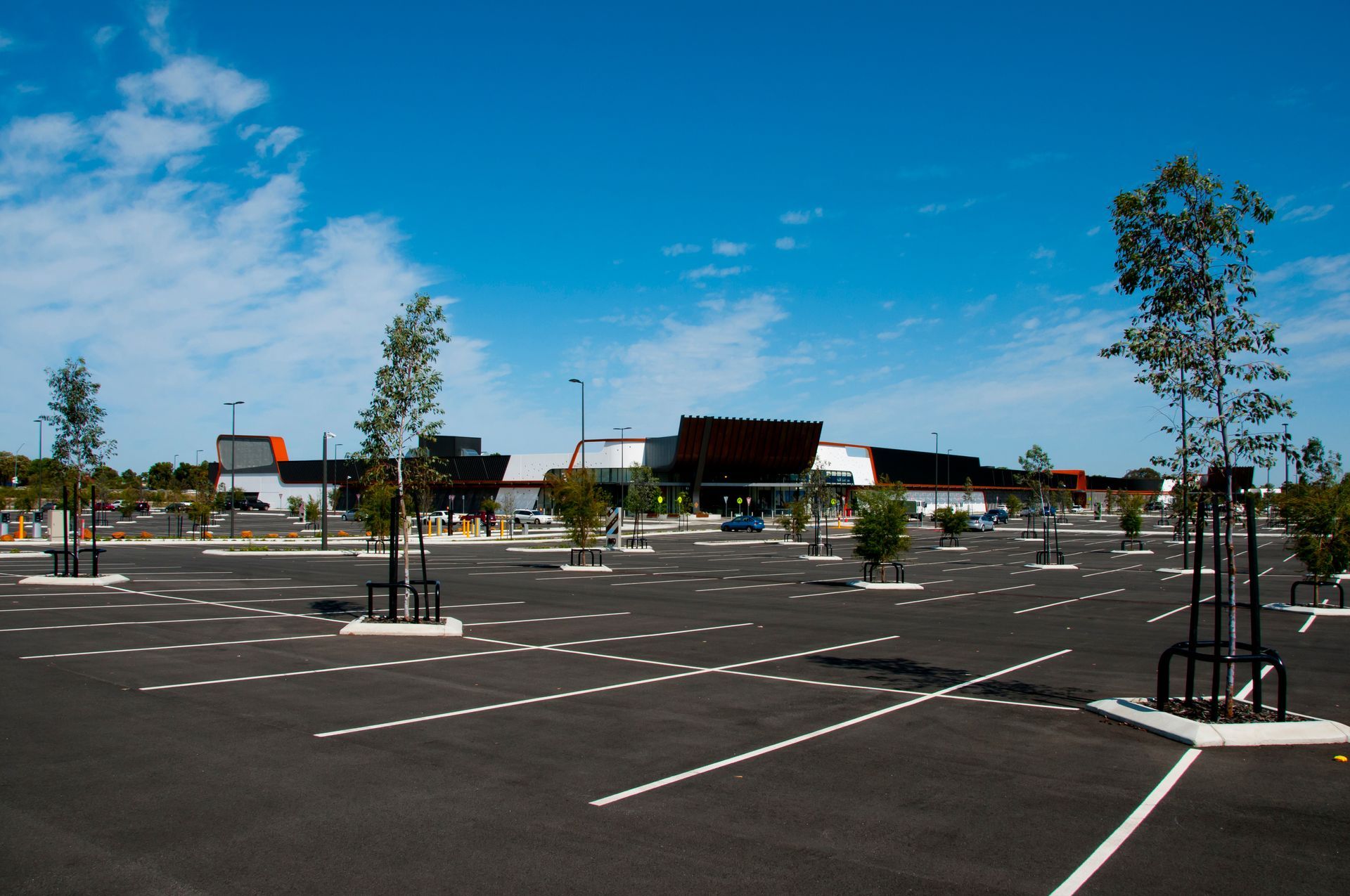 Empty parking lot with young trees under a bright blue sky