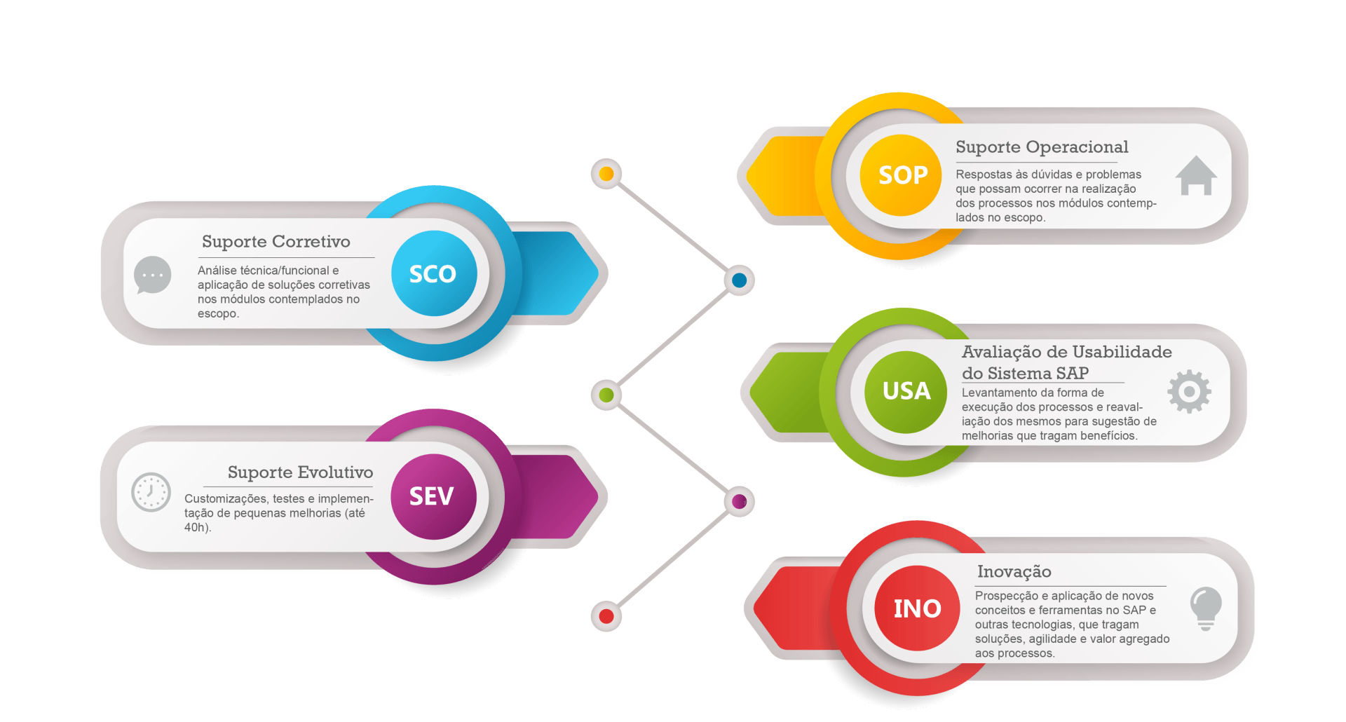 Application Management Services - AMS SAP