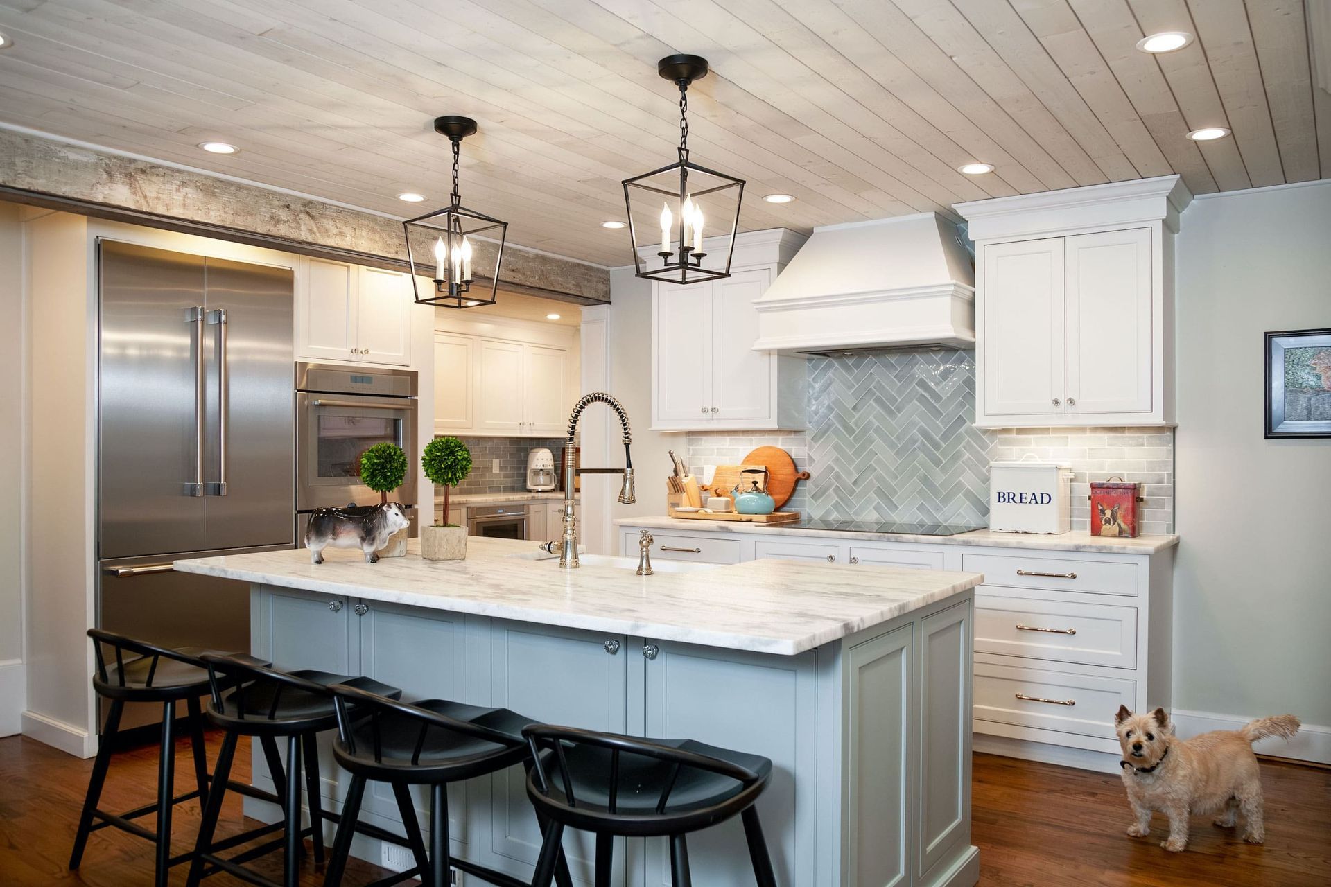 Kitchen with light blue island, white cabinets, stainless steel appliances, and a dog.