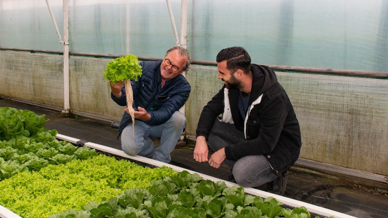 Greenhouse with lettuce on the Botman Hydroponics Floating Raft