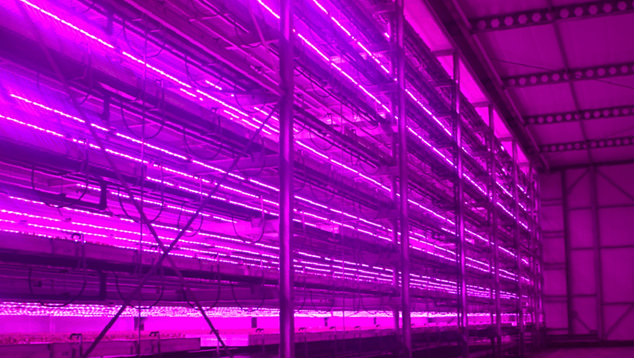 Vertical farm