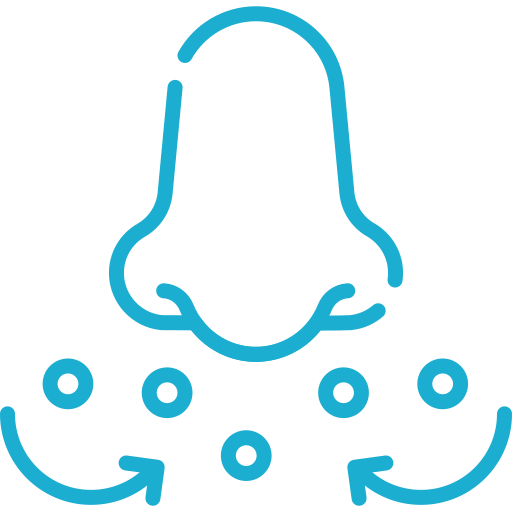 Un disegno lineare di un naso con frecce che puntano in diverse direzioni.