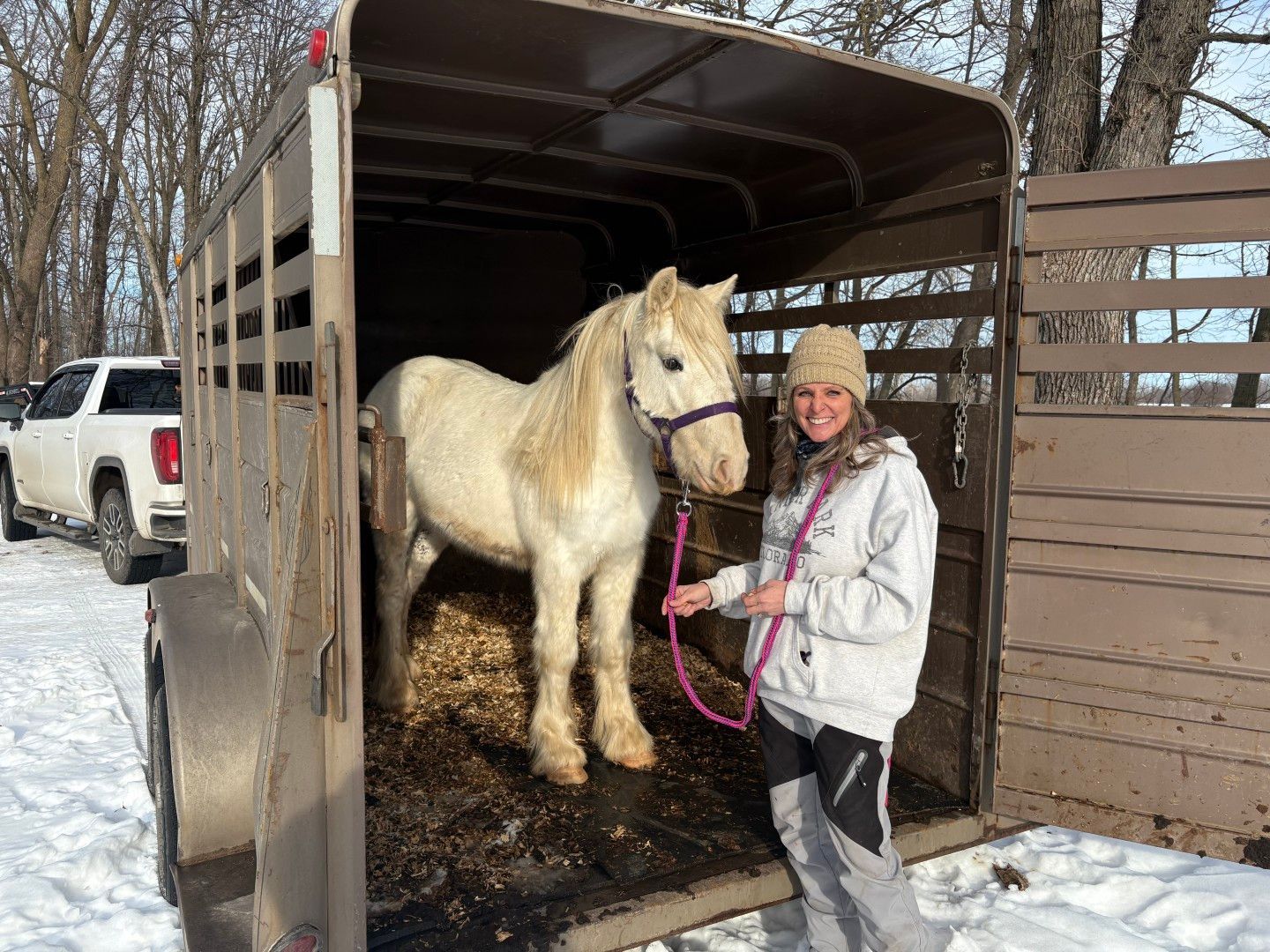 Horse by Person