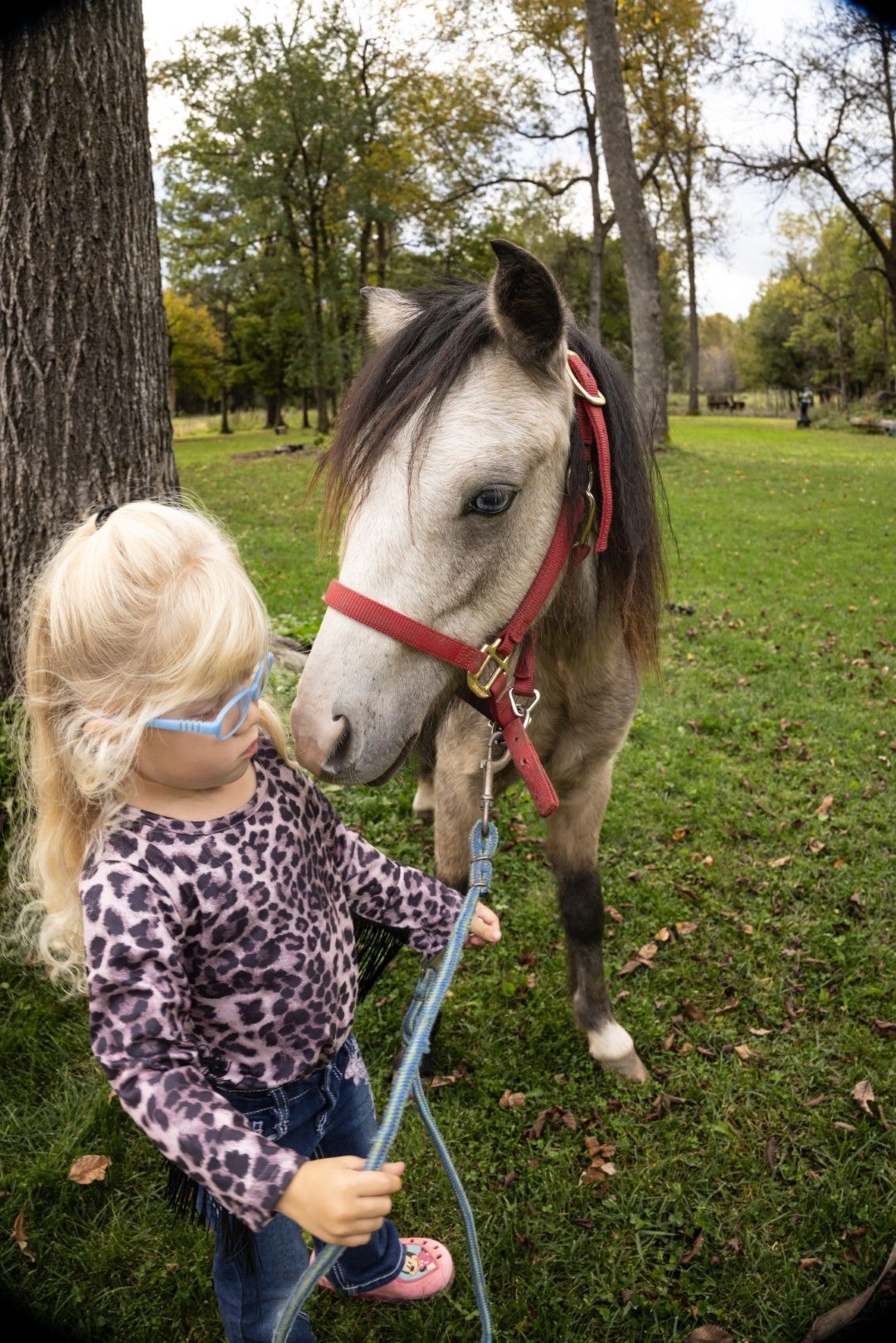 Horse by Child