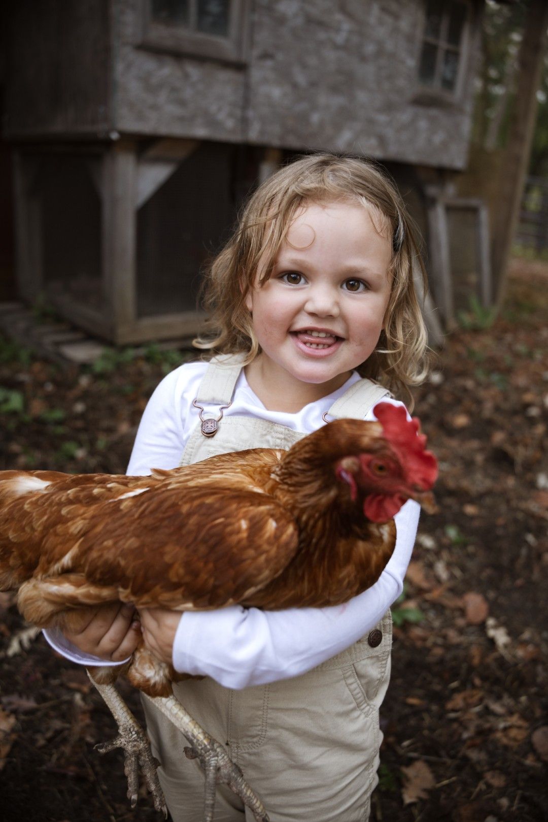 Chicken by Child
