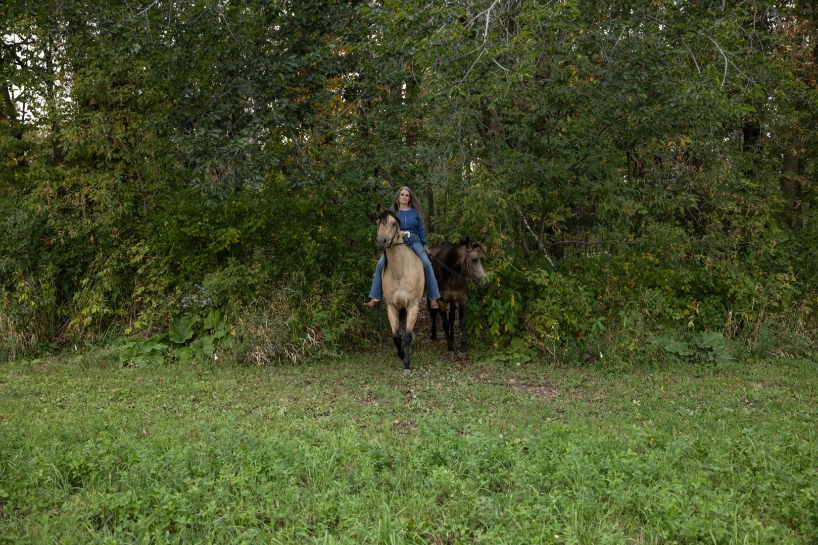 Person on Horse