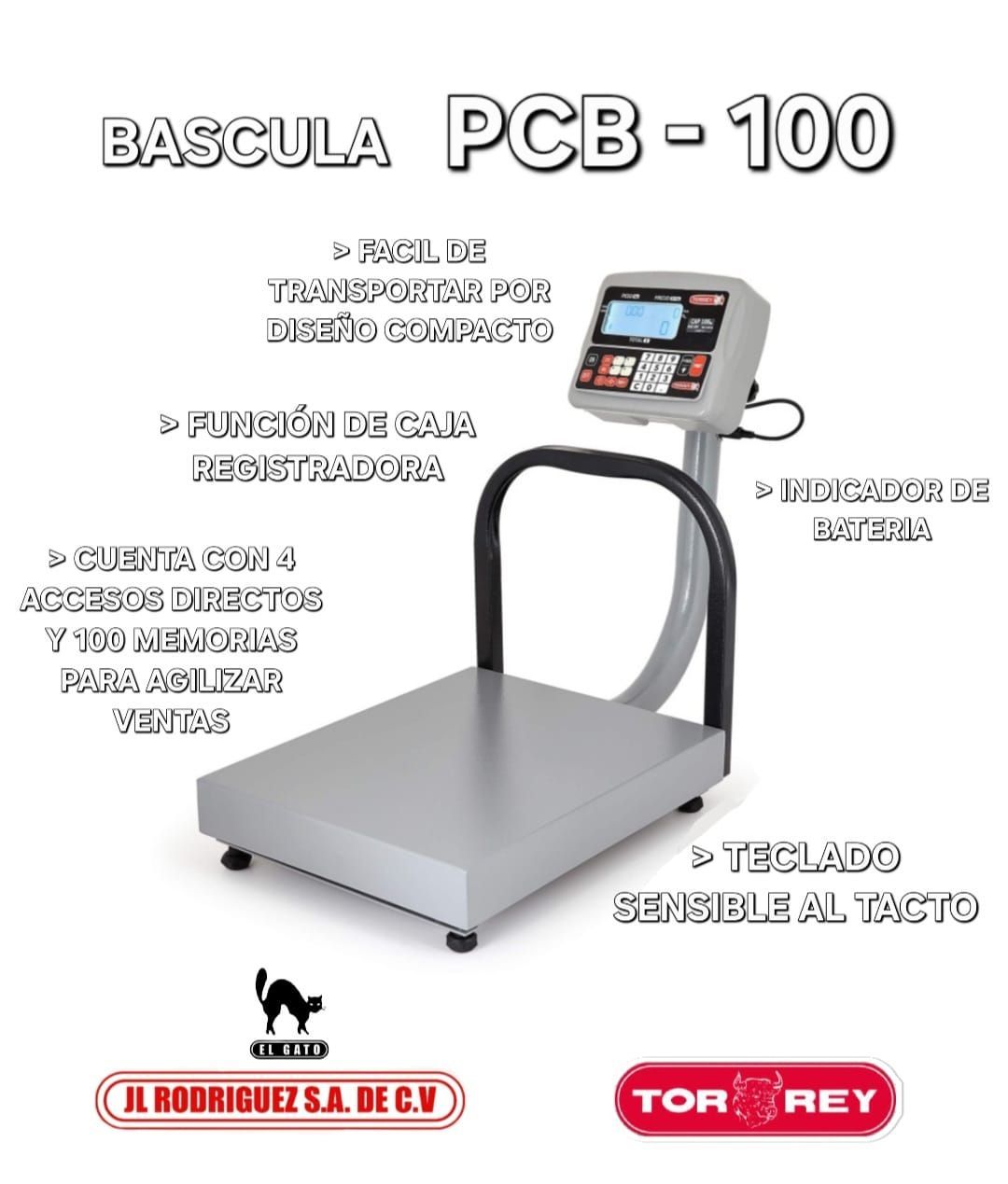 BASCULA PCB-100
