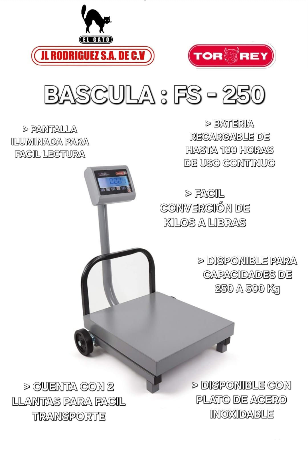 BASCULA MODELO FS-250