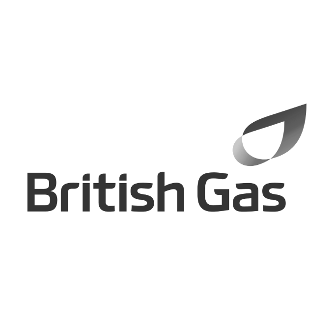 British Gas logo: Text and abstract leaf graphic, gray on white background.