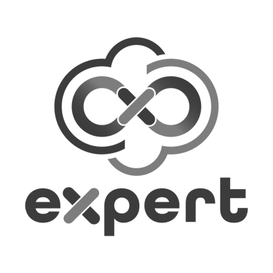 ExpertEVR logo Gray