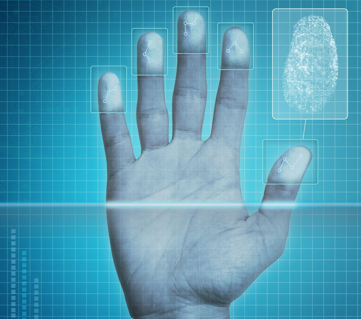 Live scan service image