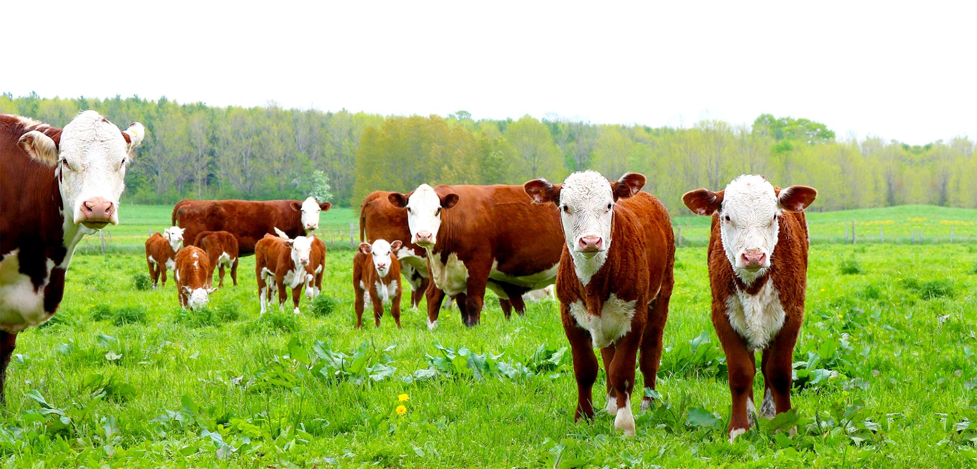 Oliver Funeral Home Centralia, MO