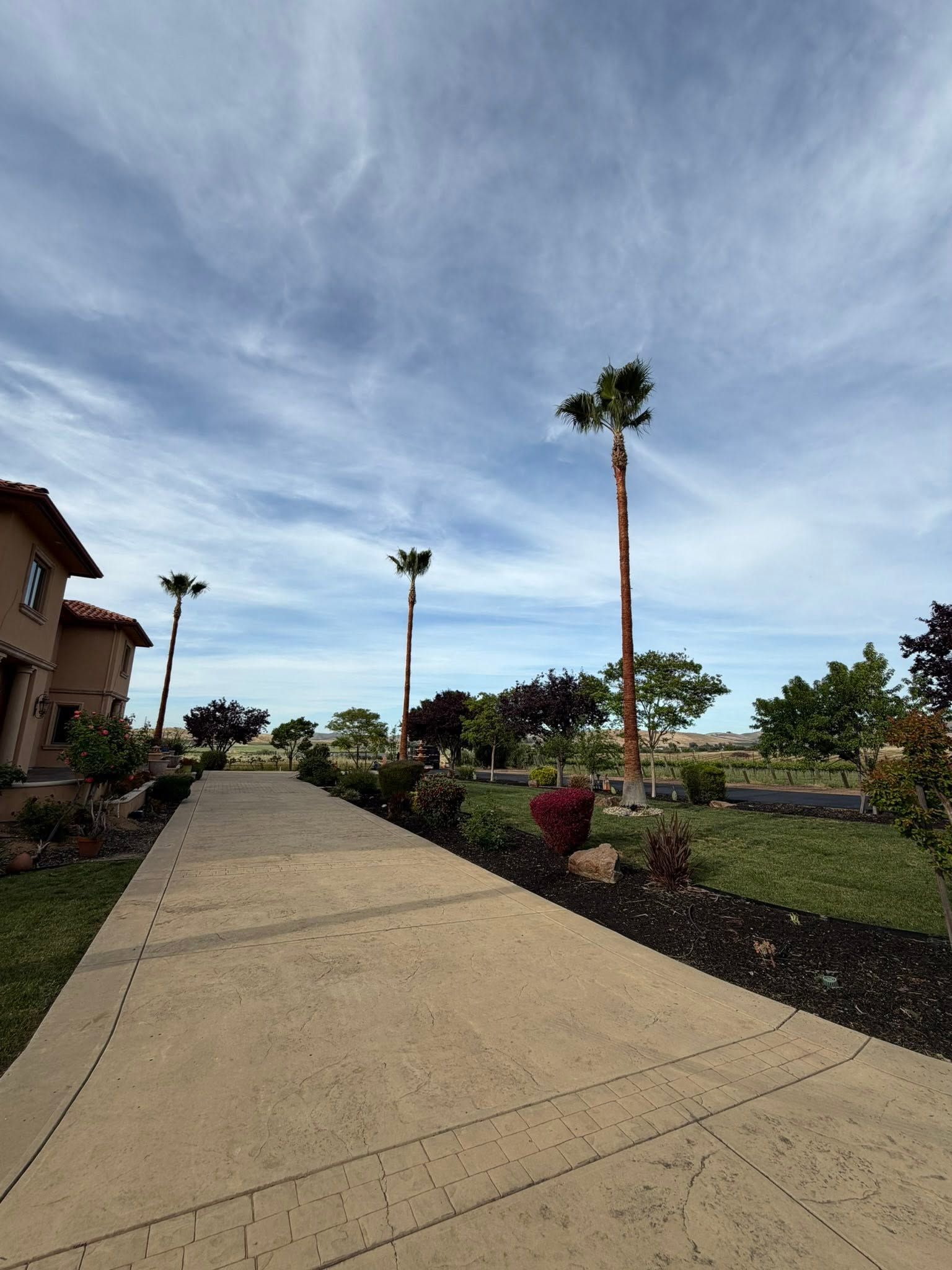 Landscaped walkway beside homes under a partly cloudy sky, with palm trees and desert plants.