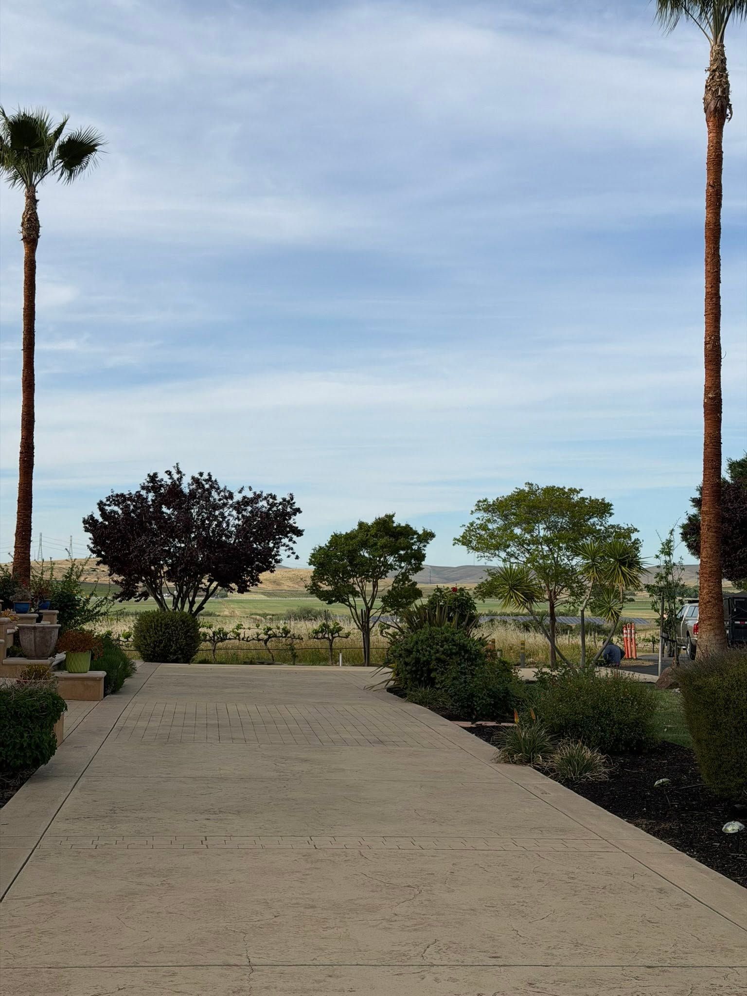 Garden pathway leading to a view of palm trees, shrubs, and open sky