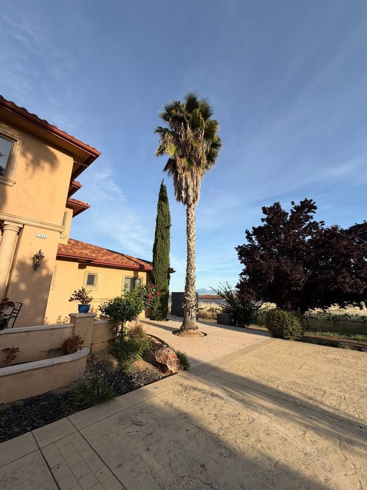 Courtyard with tan stucco building, tall palm trees, desert landscaping, and a clear blue sky