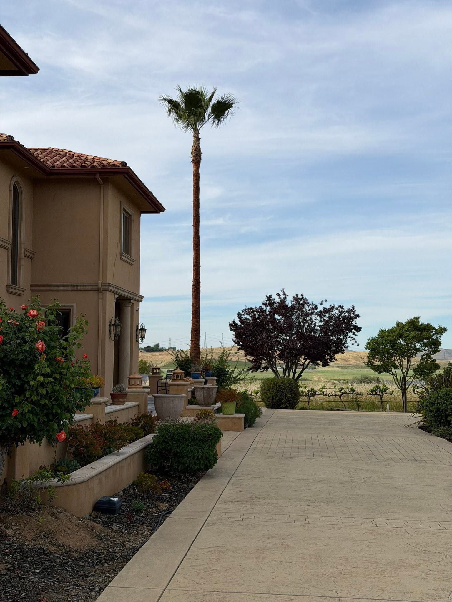 Desert home driveway with a tall palm tree, shrubs, and a view of the ocean under a clear sky