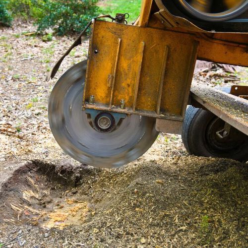 Yellow wood chipper cutting a stump, with debris and a spinning blade near the ground