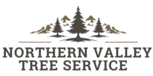 Northern Valley Tree Service logo with pine trees and mountain silhouette