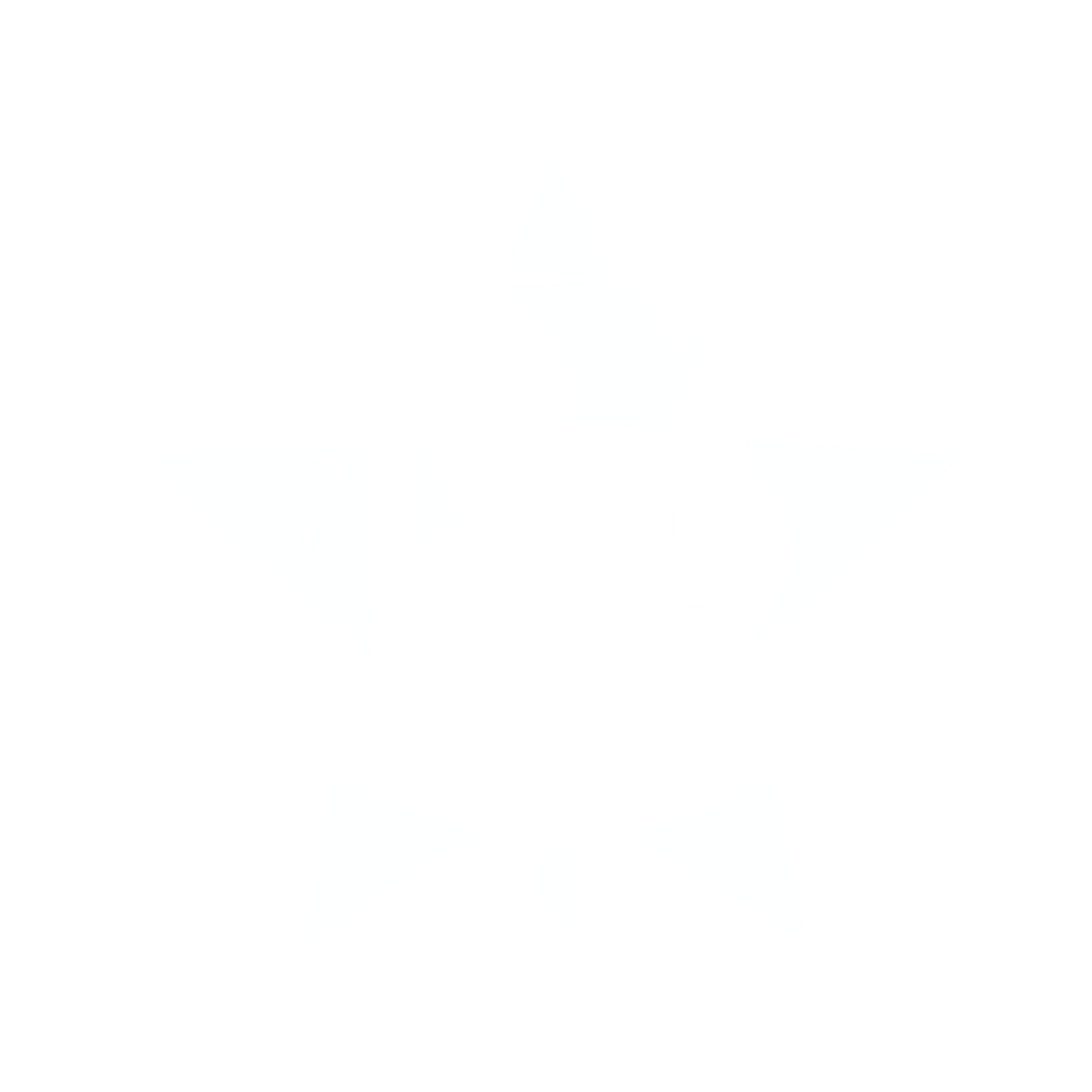 LM Waste Solutions LLC logo