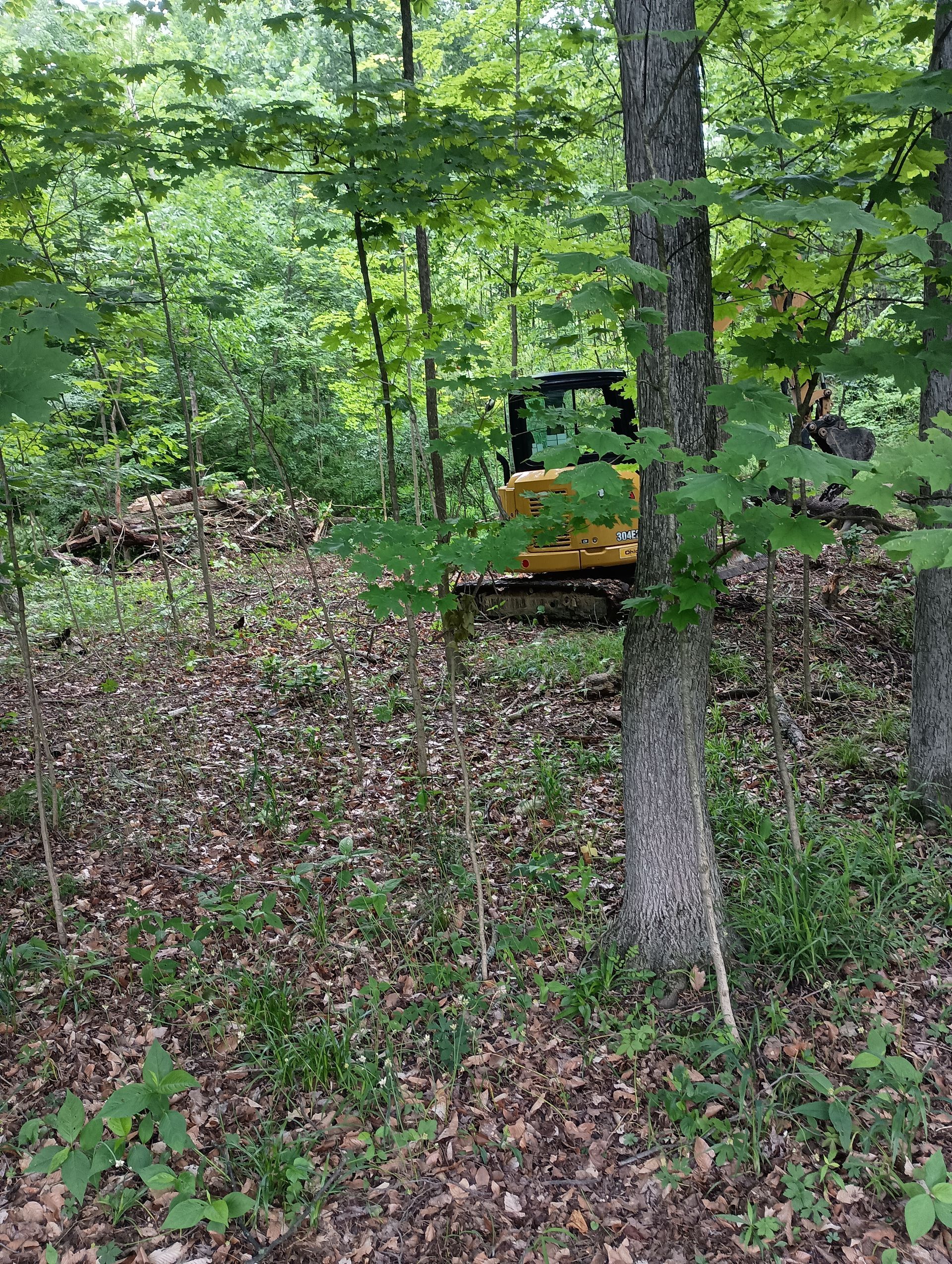 Yellow machine, possibly a small excavator, is in the woods next to a tree, surrounded by leaves and vegetation.