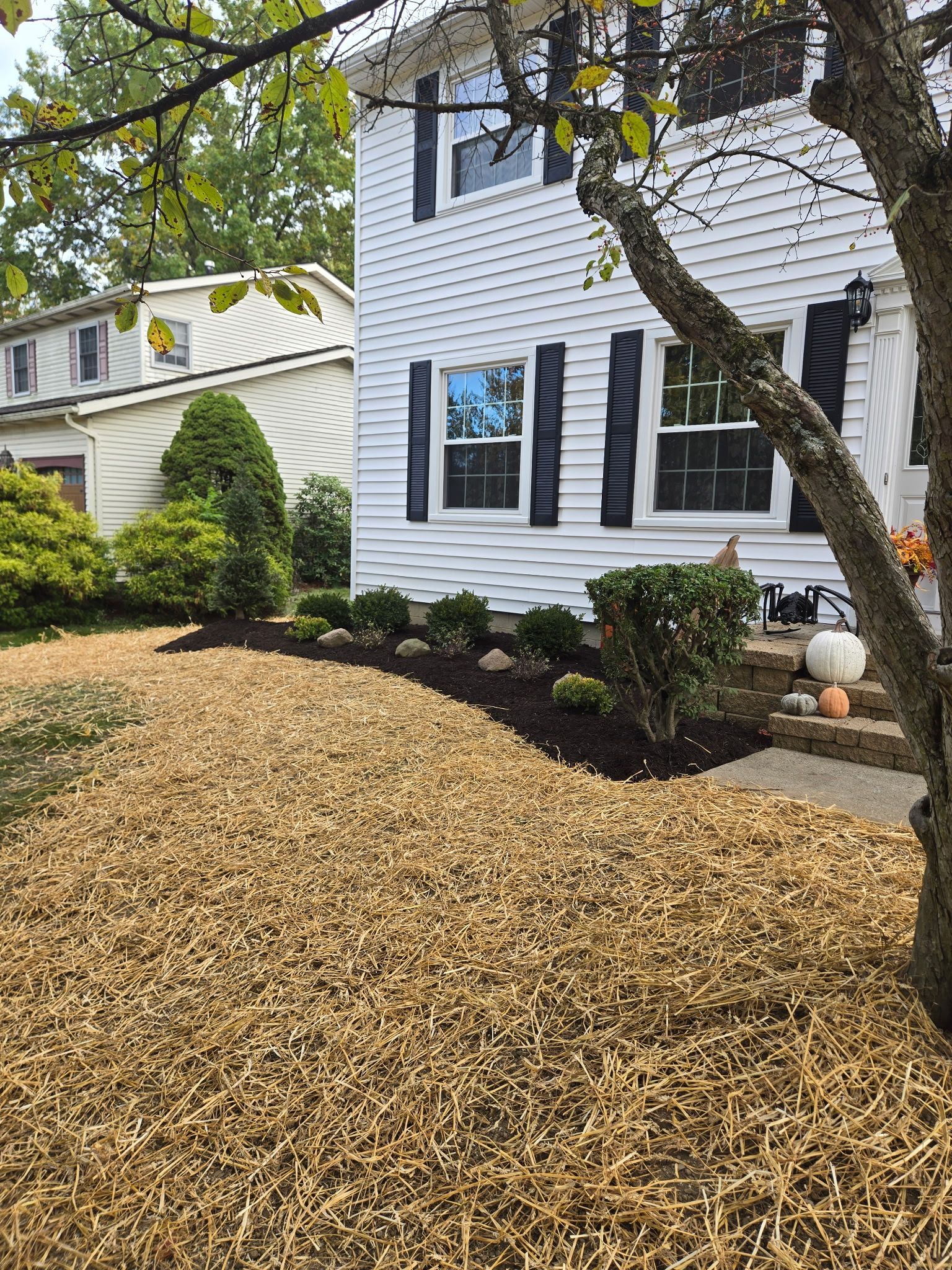 A two-story white house with black shutters, a wood-chip-covered yard, and manicured landscaping.